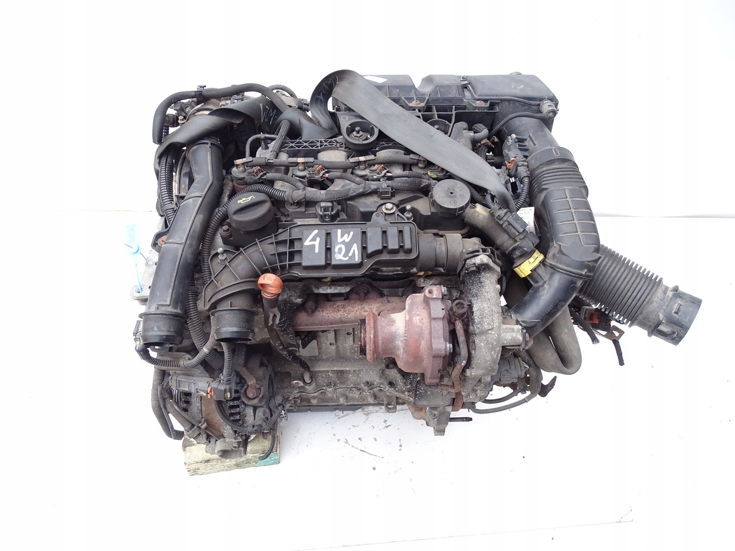 Moteur D 15 DTH (DV5RC) - Image 7