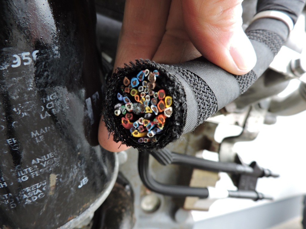 Moteur F1CFL411A - Image 3